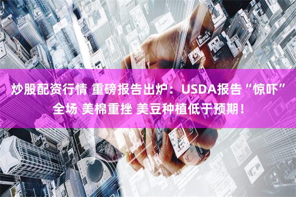 炒股配资行情 重磅报告出炉：USDA报告“惊吓”全场 美棉重挫 美豆种植低于预期！